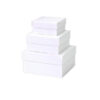 4x4x2  WHITE GIFT BOX (100)